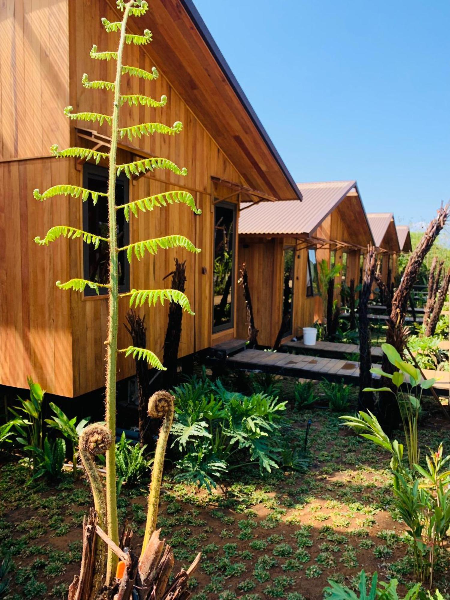 Cai Gui Ta Dung Hotel Bidong Ngoại thất bức ảnh