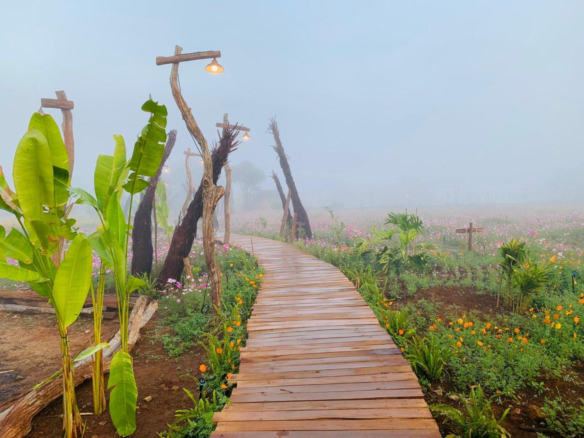 Cai Gui Ta Dung Hotel Bidong Ngoại thất bức ảnh