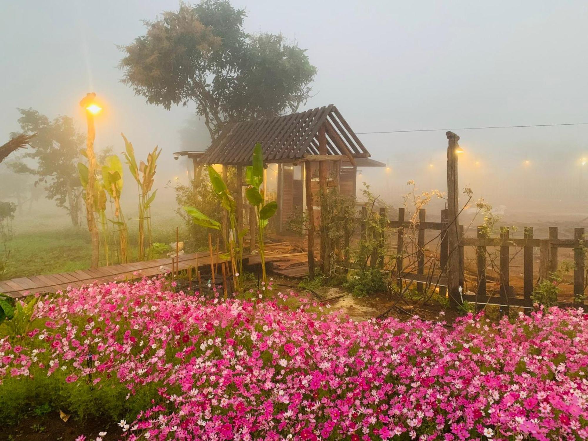 Cai Gui Ta Dung Hotel Bidong Ngoại thất bức ảnh