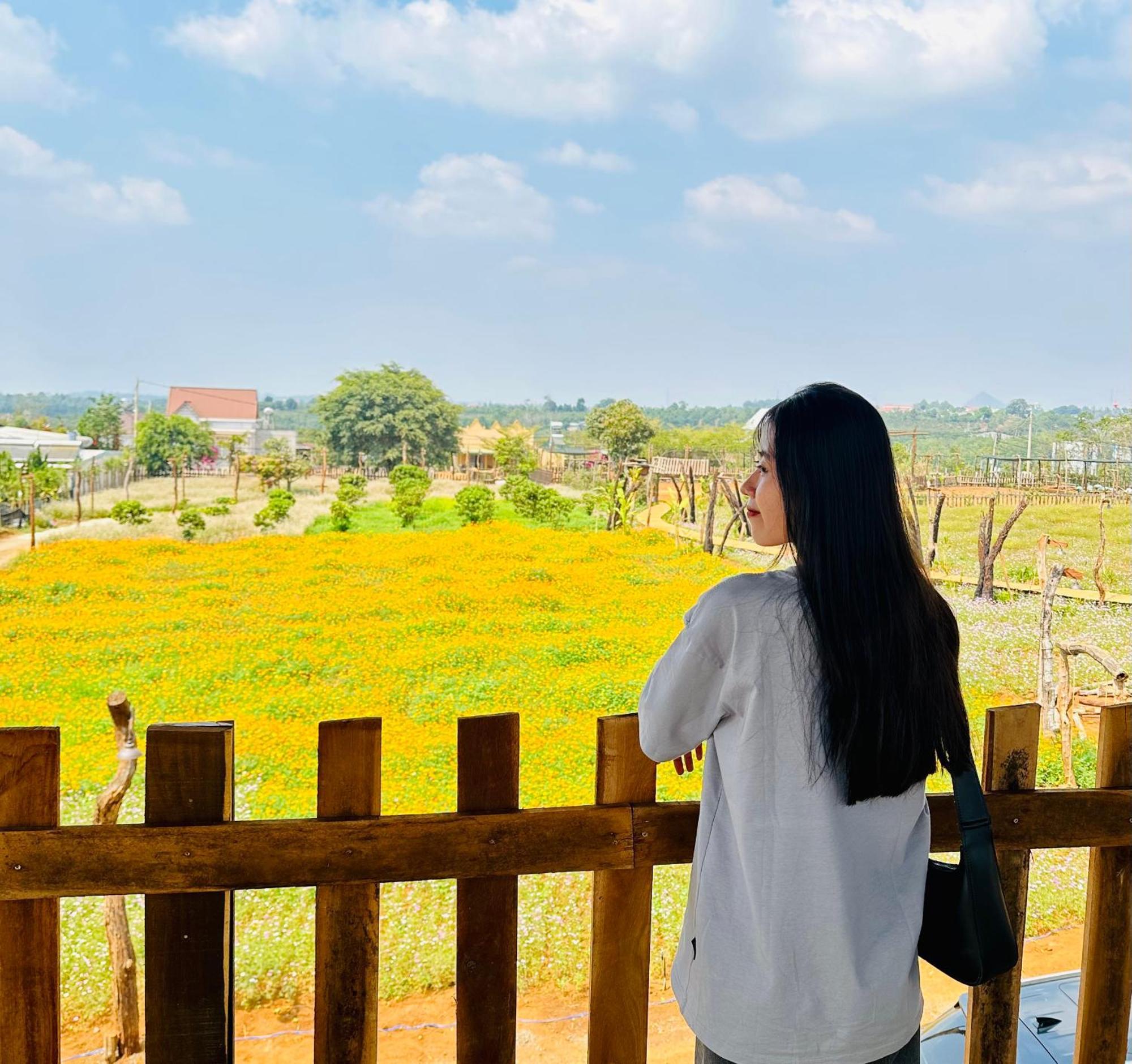 Cai Gui Ta Dung Hotel Bidong Ngoại thất bức ảnh